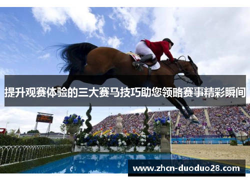 提升观赛体验的三大赛马技巧助您领略赛事精彩瞬间