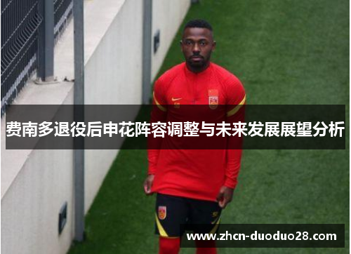 费南多退役后申花阵容调整与未来发展展望分析